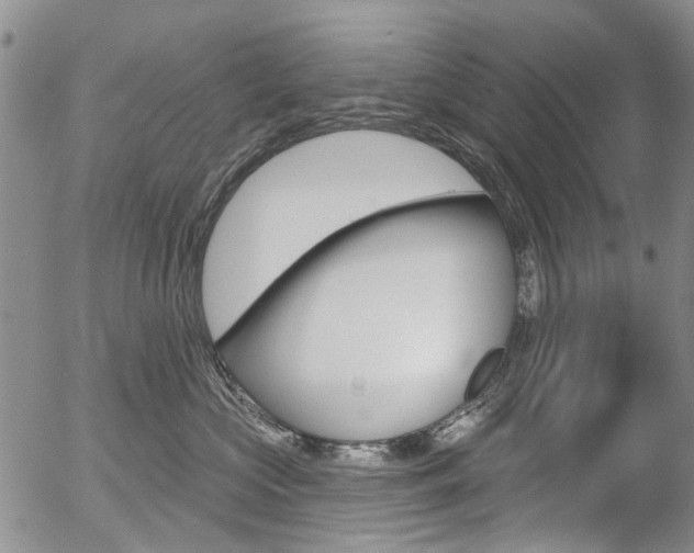 X0000054440573200507290929