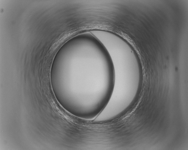 X0000054440577200507290928