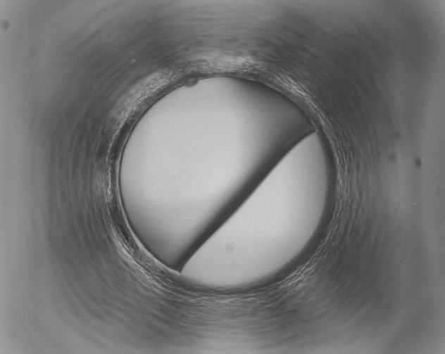 X0000054440582200507290928