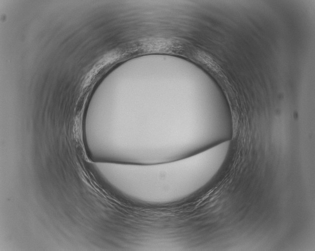 X0000054440583200507290928