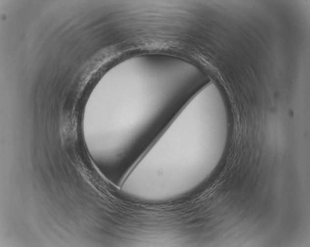X0000054440584200507290928