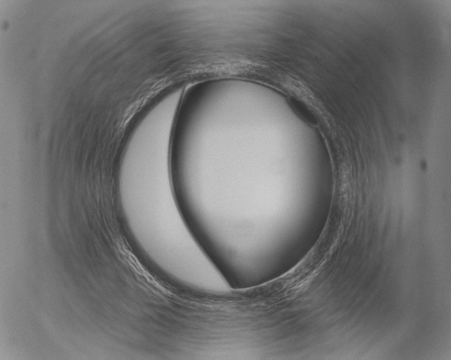 X0000054440585200507290928