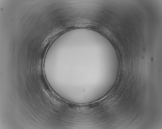 X0000054440586200507290928