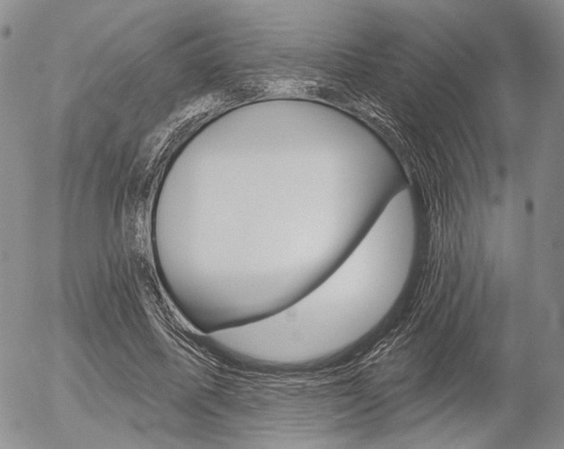X0000054440587200507290928