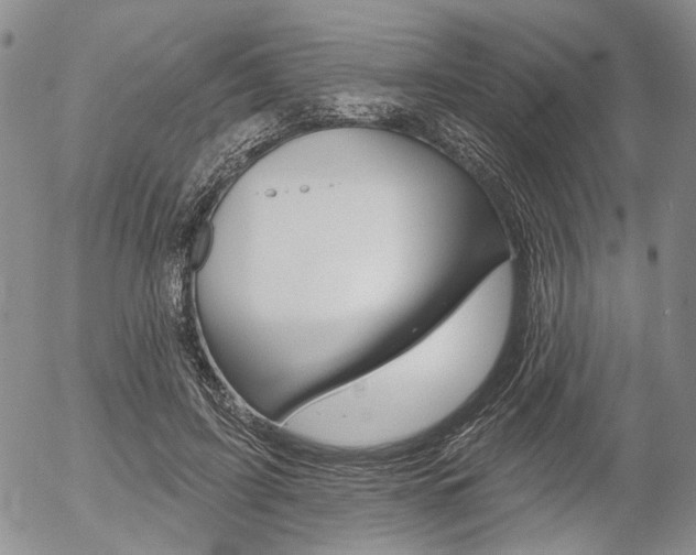 X0000054440595200507290928