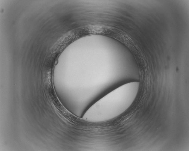 X0000054440598200507290928