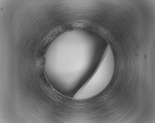 X0000054440601200507290928