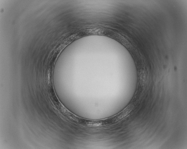 X0000054440602200507290928