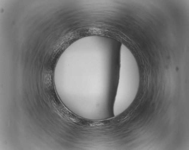 X0000054440603200507290928