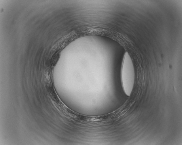 X0000054440607200507290928