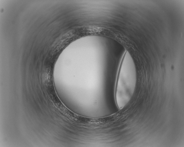 X0000054440608200507290928