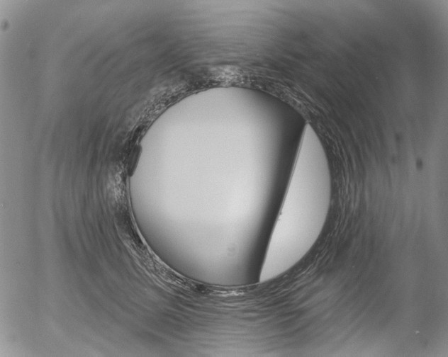 X0000054440611200507290928