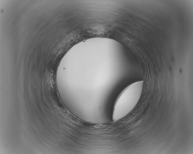 X0000054440612200507290928