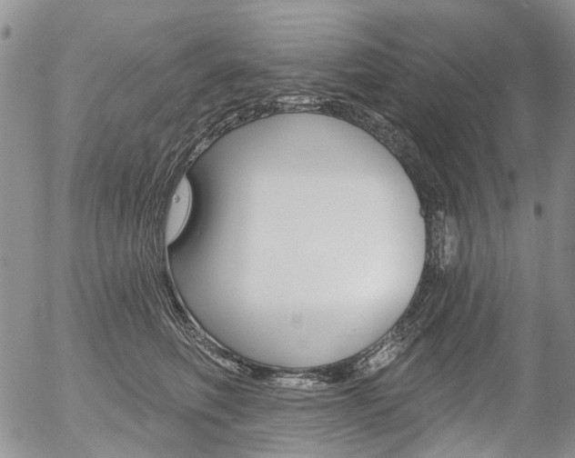 X0000054440614200507290928