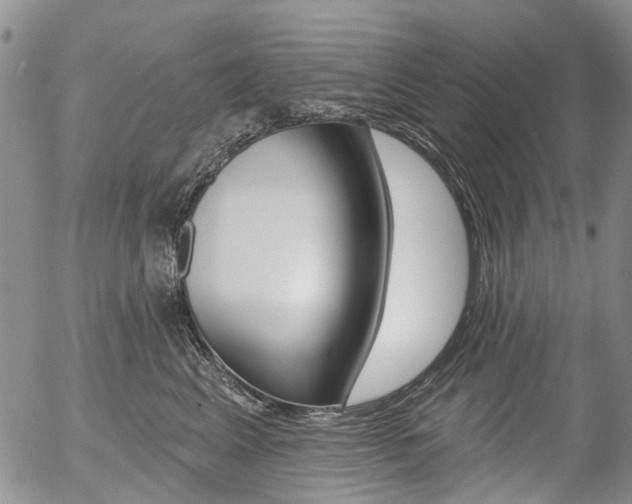 X0000054440617200507290928