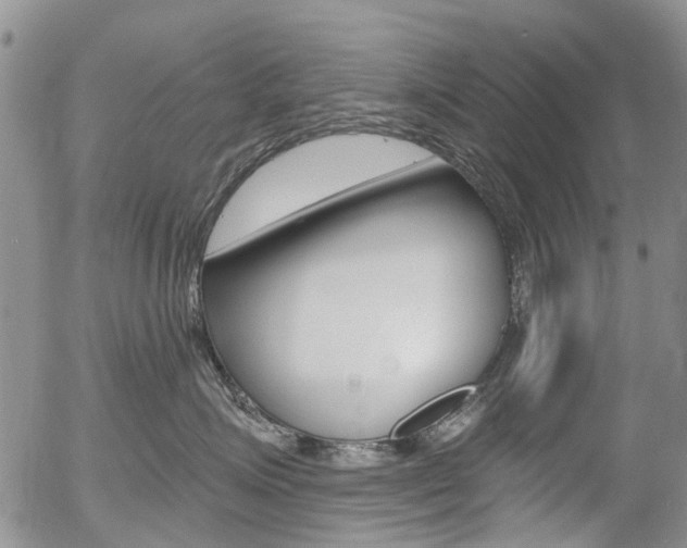 X0000054440623200507290928