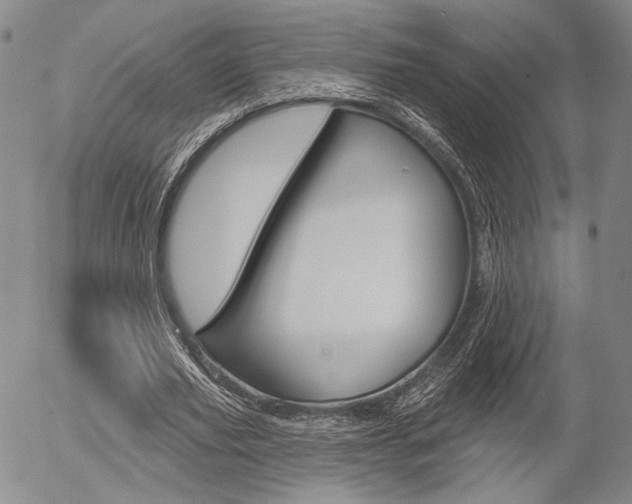 X0000054440629200507290927