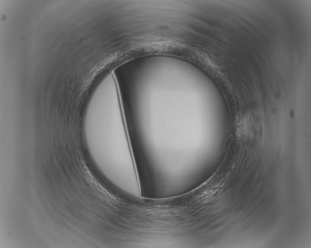 X0000054440637200507290927