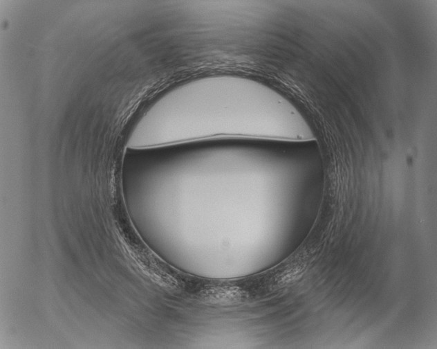 X0000054440642200507290927
