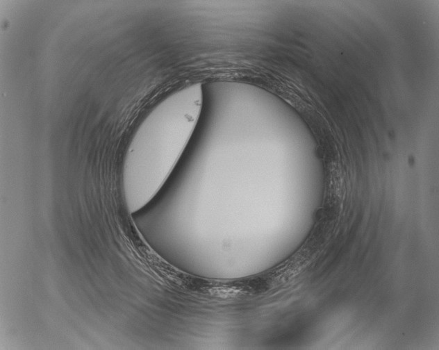 X0000054440650200507290927