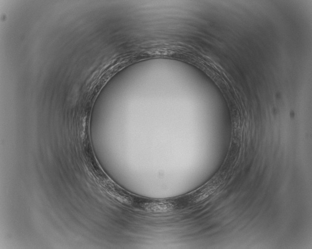 X0000054440652200507290927