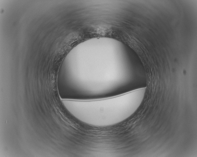 X0000054440656200507290927
