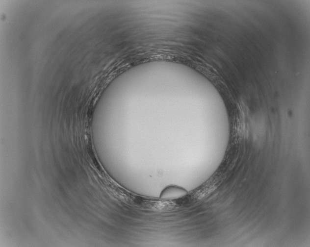 X0000054440663200507290927