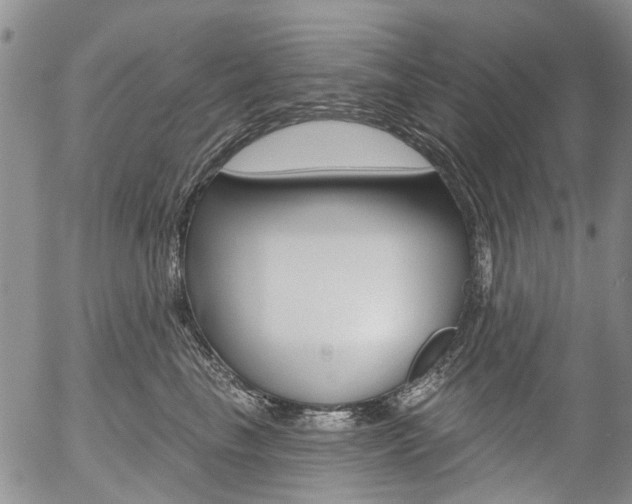 X0000054440665200507290927