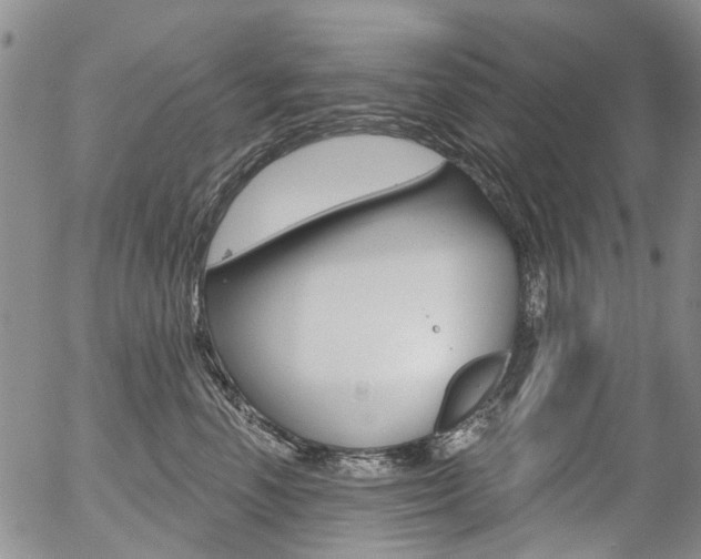 X0000054440666200507290927
