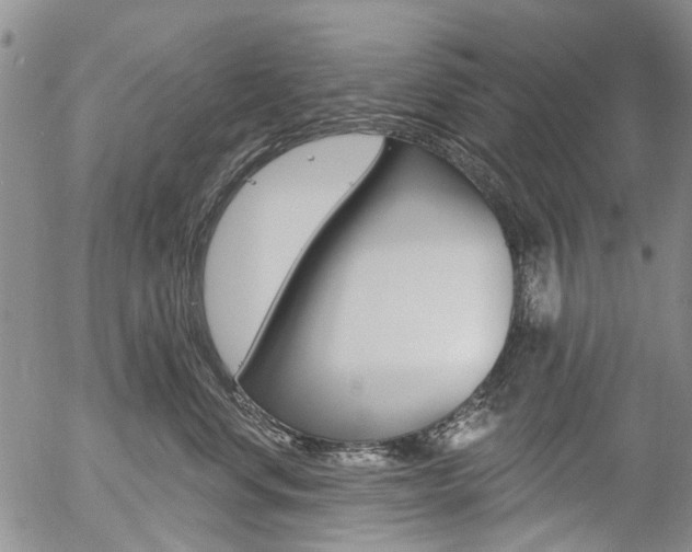 X0000054440668200507290927