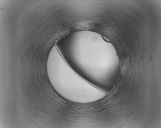 X0000054440669200507290928