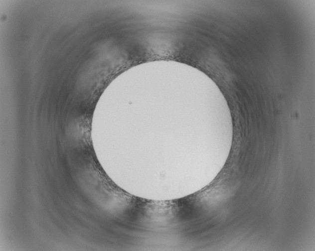 X0000054440672200507290928