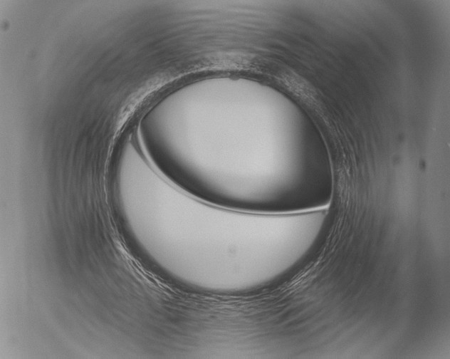 X0000054440676200507290927