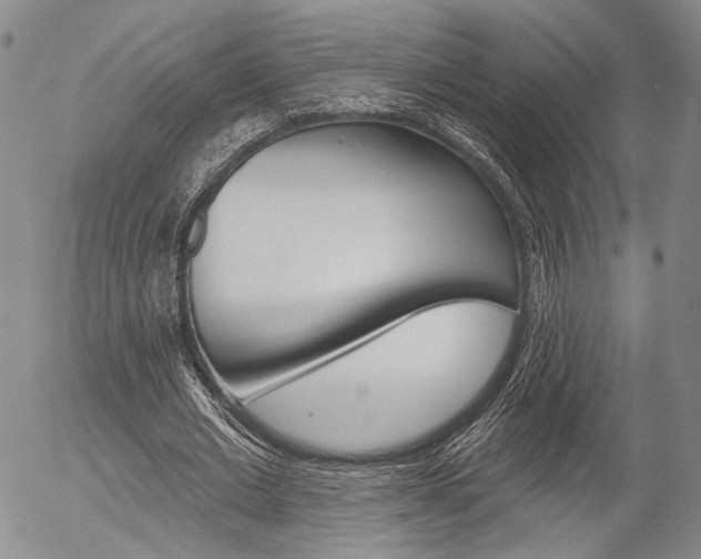 X0000054440677200507290927