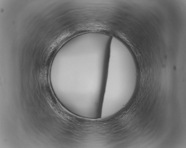 X0000054440679200507290927