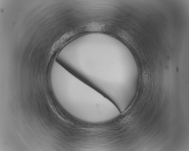 X0000054440682200507290927