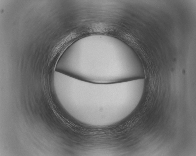 X0000054440683200507290927