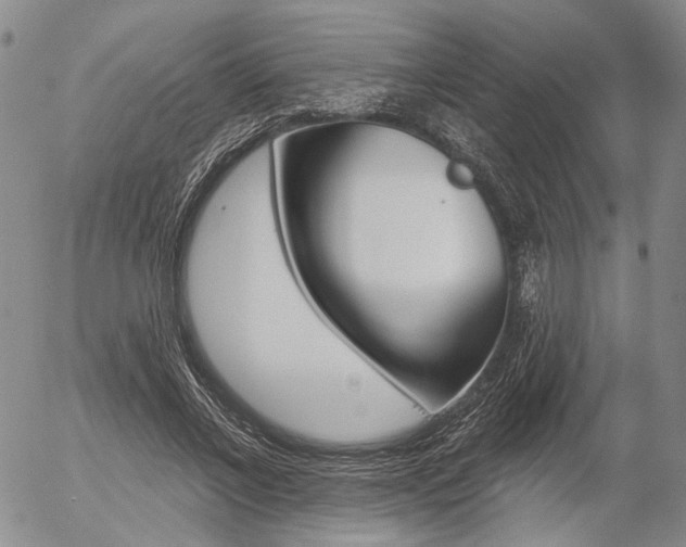 X0000054440685200507290927