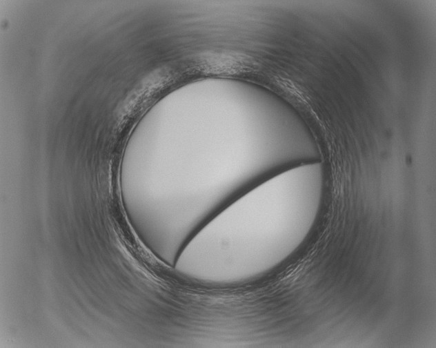 X0000054440686200507290927