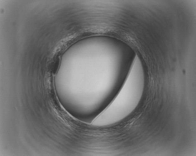X0000054440688200507290927