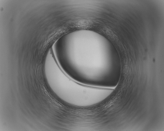 X0000054440689200507290927