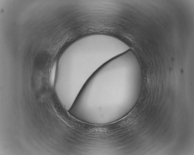 X0000054440691200507290926