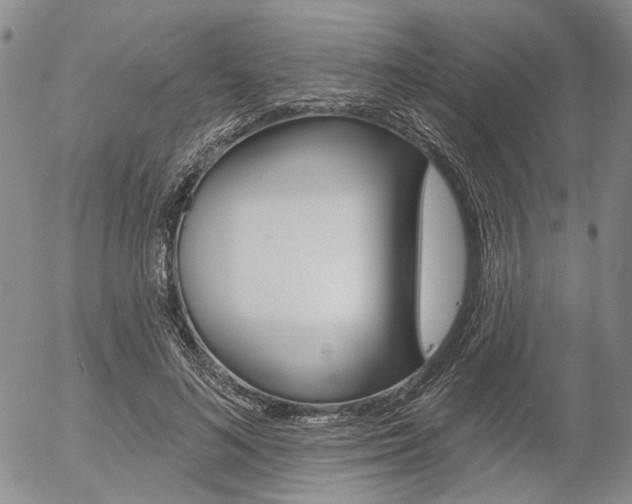 X0000054440692200507290926