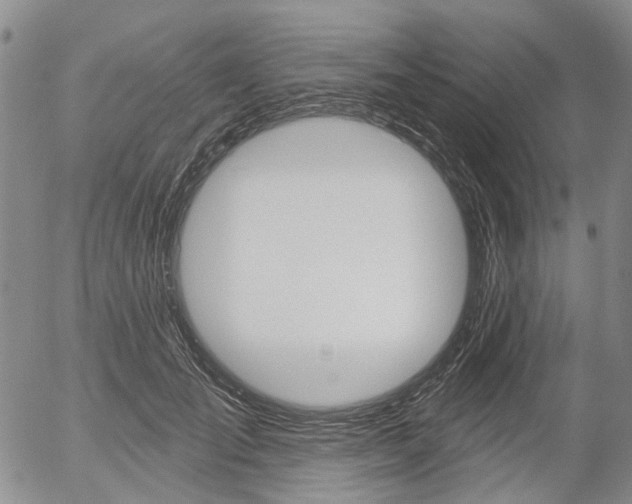 X0000054440701200507290926