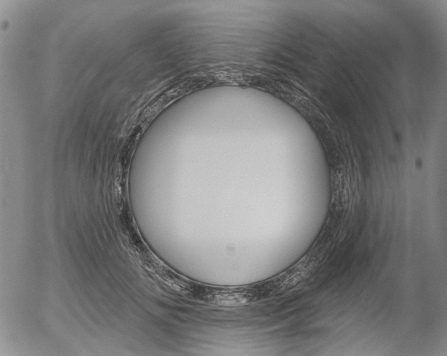 X0000054440702200507290926
