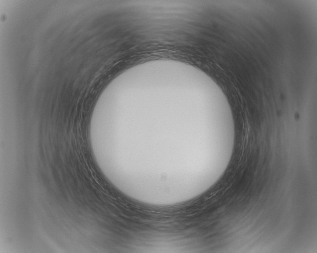 X0000054440705200507290926
