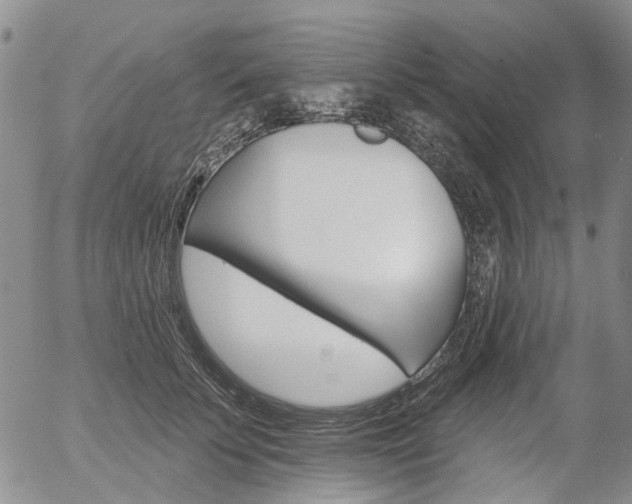 X0000054440707200507290926