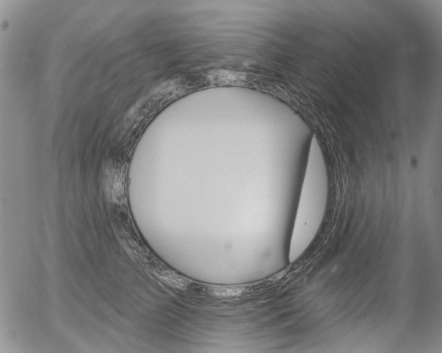 X0000054440709200507290926