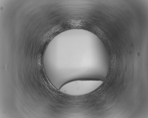 X0000054440710200507290926