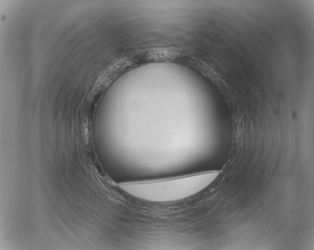 X0000054440716200507290926
